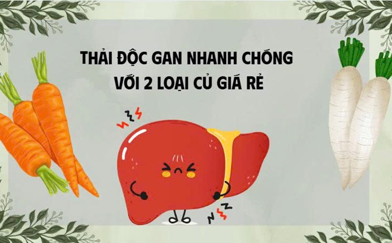 Detoxify the liver quickly with 2 cheap tubers