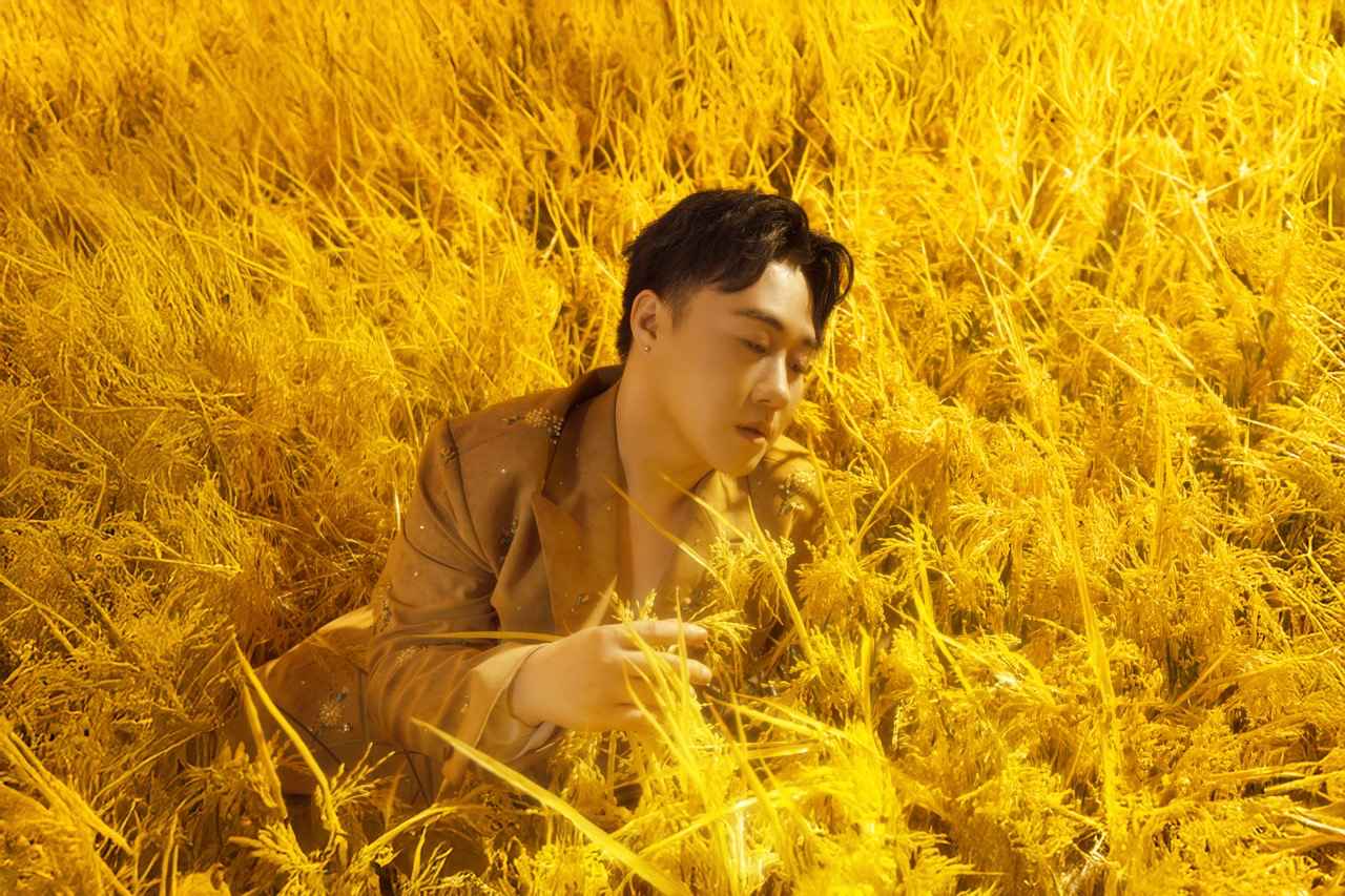 Trung Quan sings about his hometown's rice grains. Photo: Provided by the artist.