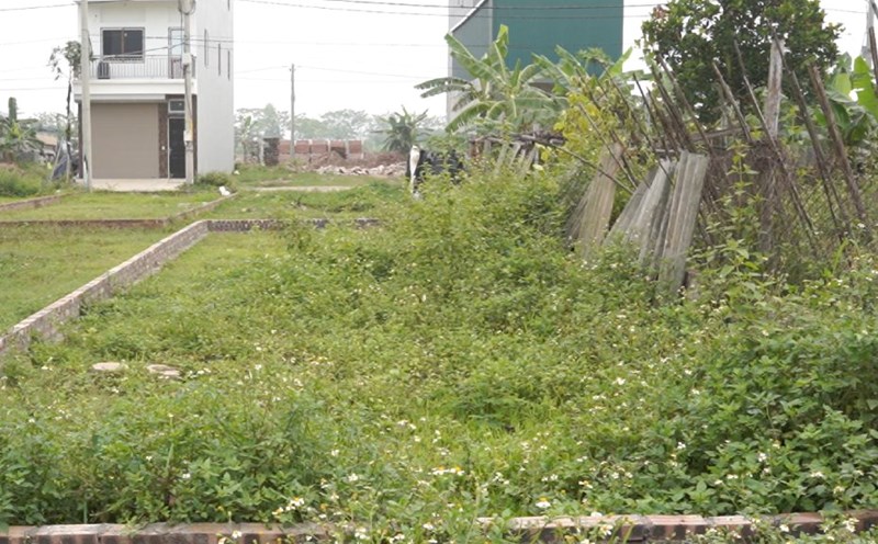 The determination of land location in the construction of land price lists from August 15, 2025 is applied according to new regulations. Photo: Nhu Ha