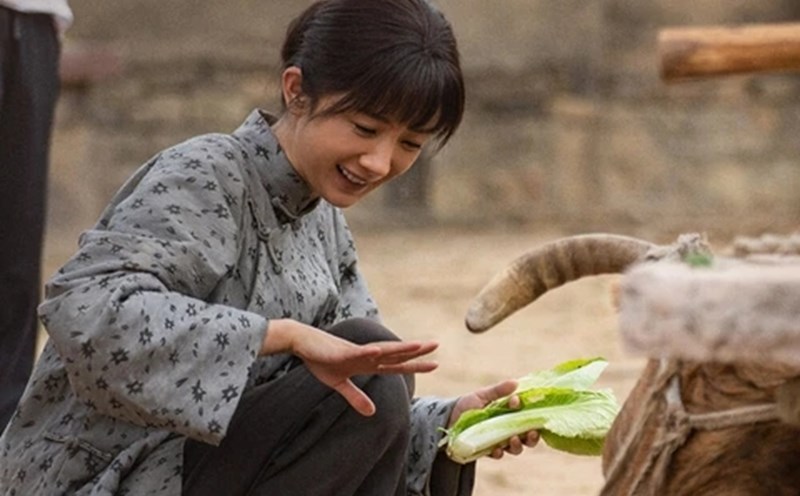 Duong Mich starred in the movie " synch Van Tu". Photo: VieON.