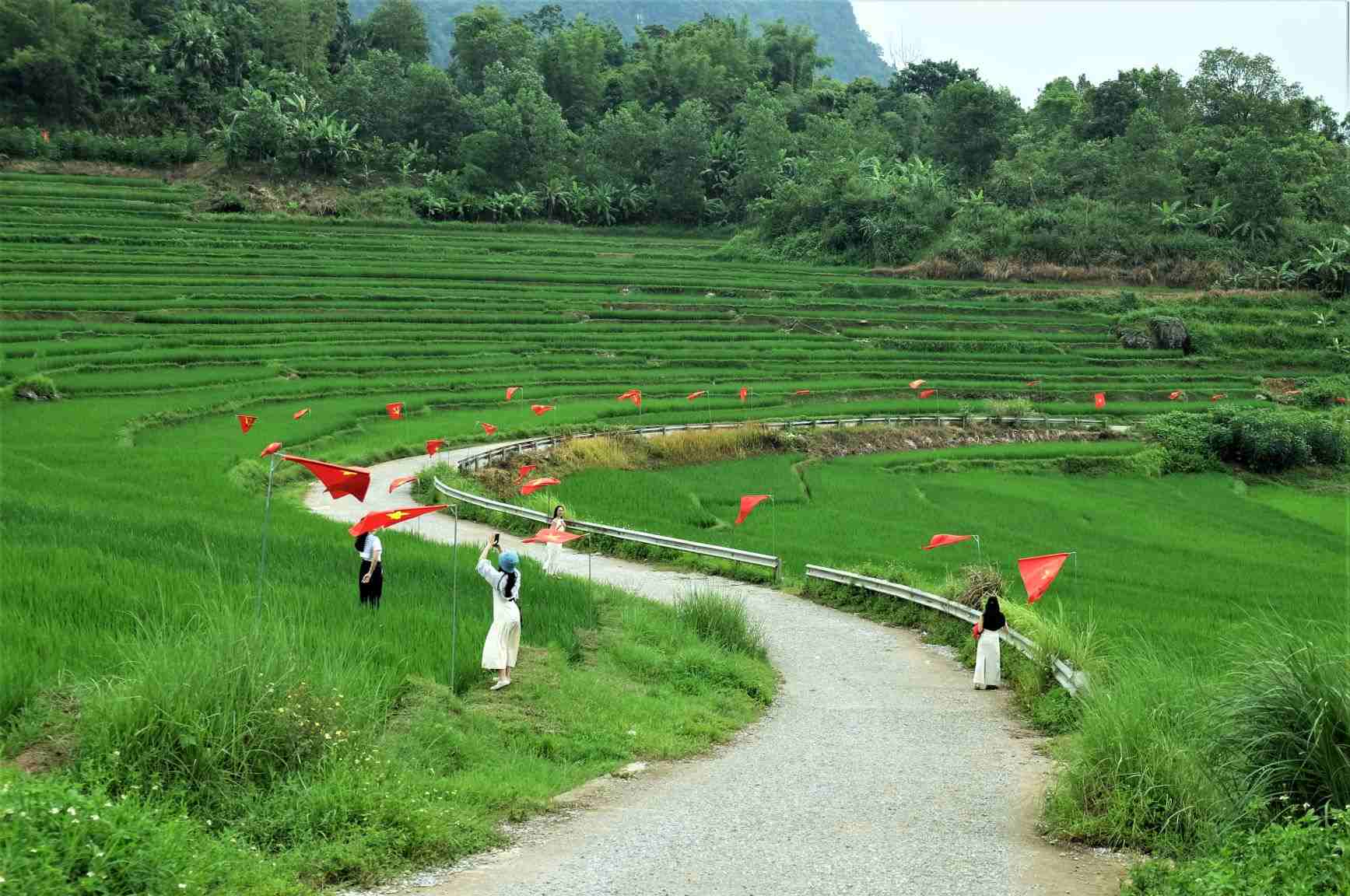 Check-in con duong “chu S” treo co do sao vang o Ban Don, Pu Luong vao mua lua xanh thang 8.2025. Anh: Huong Chi