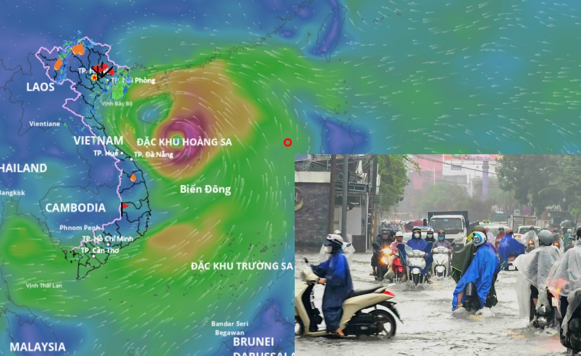 Storm No. 5 is forecast to cause widespread heavy rain in the Northern Delta and Thanh Hoa to Hue from the night of August 24. Source: Vietnam Disaster Monitoring System