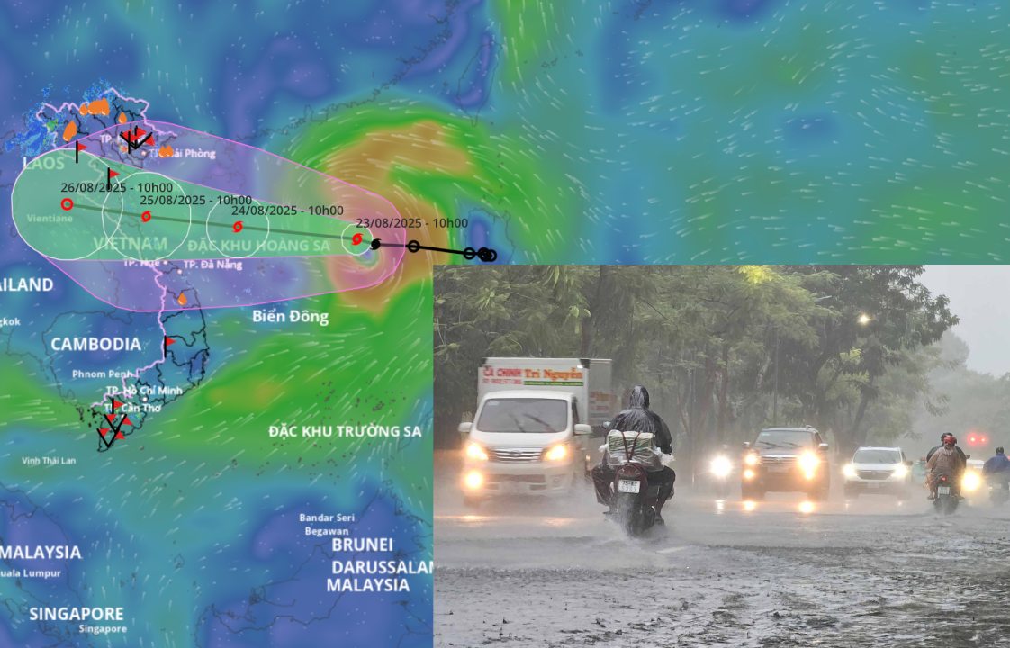 台風5号は、明日8月24日夜から北中部地方で広範囲に大雨を引き起こすでしょう。情報源:ベトナム自然災害監視システム