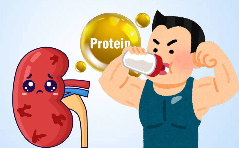The effects of high-protein and lack of water in the digestive system reach the kidneys. Graphics: Thien Nhan