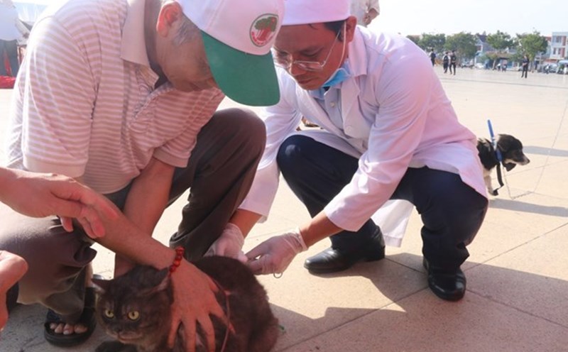 Rabies vaccination for dogs and cats in the Ba Ria - Vung Tau area before. Photo: Thanh An