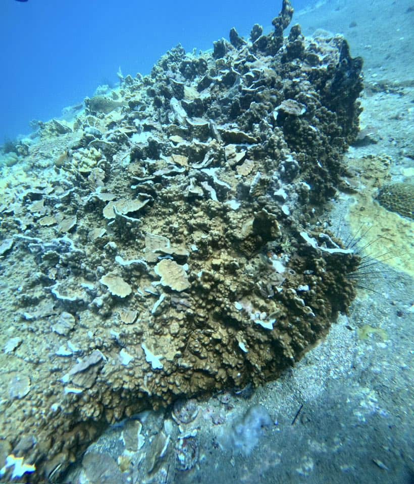 当局は、カーン・ホア・ビーチの生態系を破壊する爆発物で釣りの問題を検証しています。写真：Quang Huy