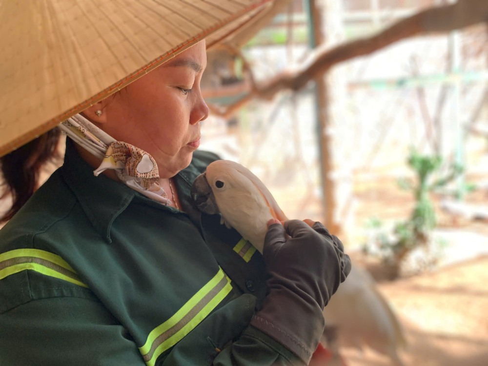 Hien o Thao Cam Vien Sai Gon dang nuoi duong 10 loai vet quy hiem. Anh: Thai Bao