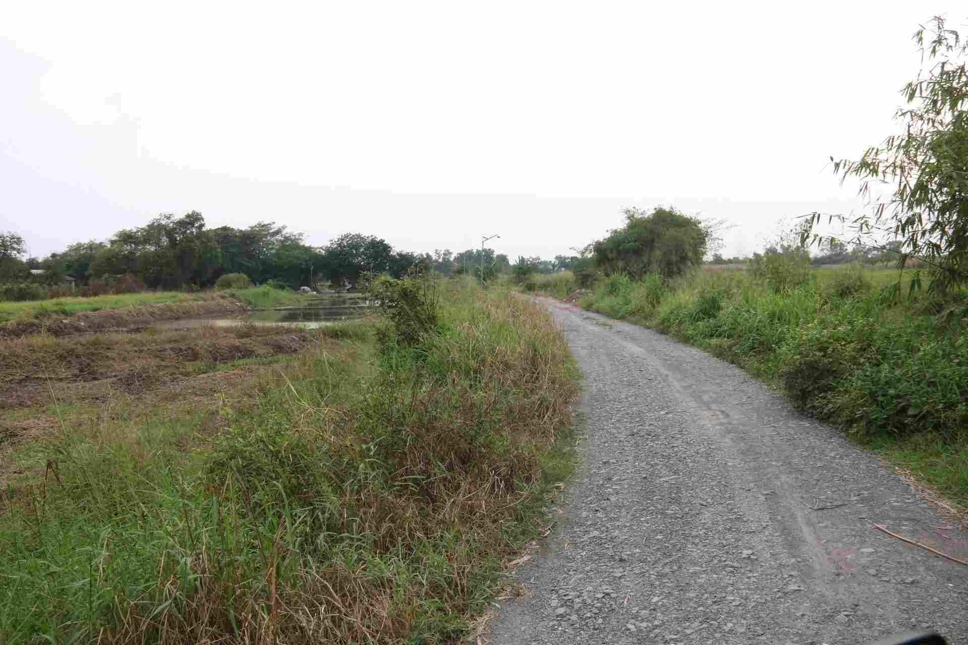 Khu dat bo hoang suot nhieu nam. Anh: Dinh Trong