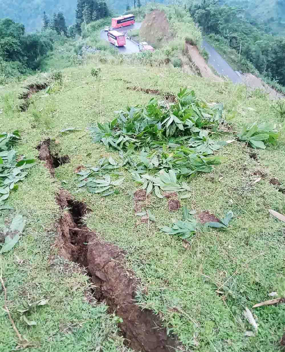 Vet nut lon, keo dai tai khu vuc tinh lo 177, Tuyen Quang. Anh: Nguyen Yem.