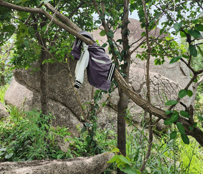 Hiện trường nơi phát hiện bộ xương khô nghi là hài cốt người. Ảnh: Công an 