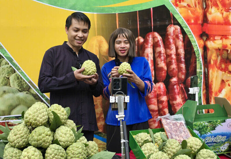 Ong Viet cho hay, sap toi xa se xay dung mot e-kip chuyen trach de duy tri mo hinh livestream, lam cau noi giua nong dan voi thi truong. Anh: Duy Chien