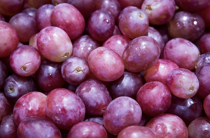 Grapes, a valuable source of compounds for health. Photo: Thuy Duong