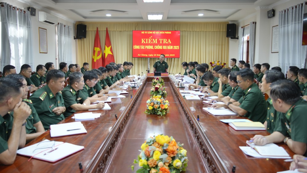 Dai ta Tran Tuan Anh - Pho Tham muu truong Bo doi Bien phong ket luan so bo chuyen kiem tra. Anh: Tien Vinh