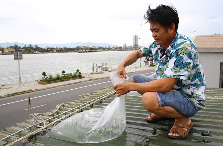 People pump water and plastic bags to reinforce their homes before storm No. 5. Photo: Cong Sang