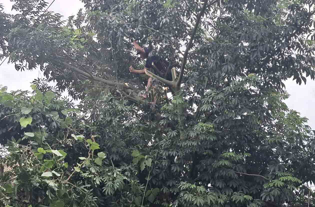 Nguoi dan xa Dan Hai, tinh Ha Tinh chat tia cay coi phong chong bao. Anh: Tran Tuan.