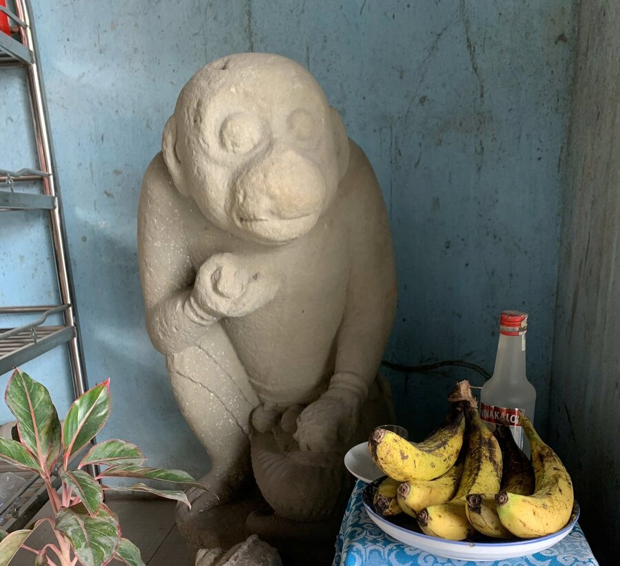 The Hanuman monkey statue over 800 years old was collected by Mr. Duong Dinh Luc in Quang Ngai. Photo: Provided by Mr. Duong Van Luc