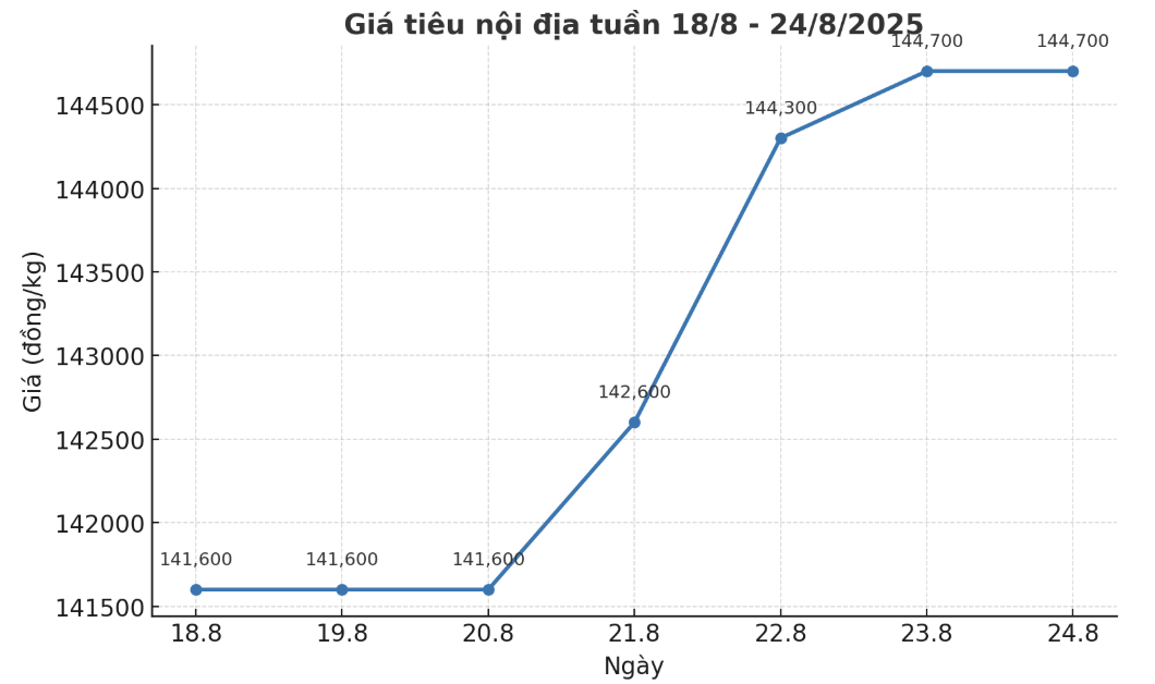 Xu huong tang cua gia tieu noi dia tu 18.8 den 24.8.2025, tang cao nhat 4.000 dong/kg. Anh: Thanh Binh