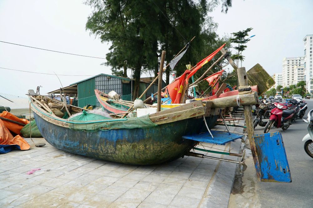 Luong lon tau thuyen da duoc dua len noi tranh tru. Anh: Quach Du