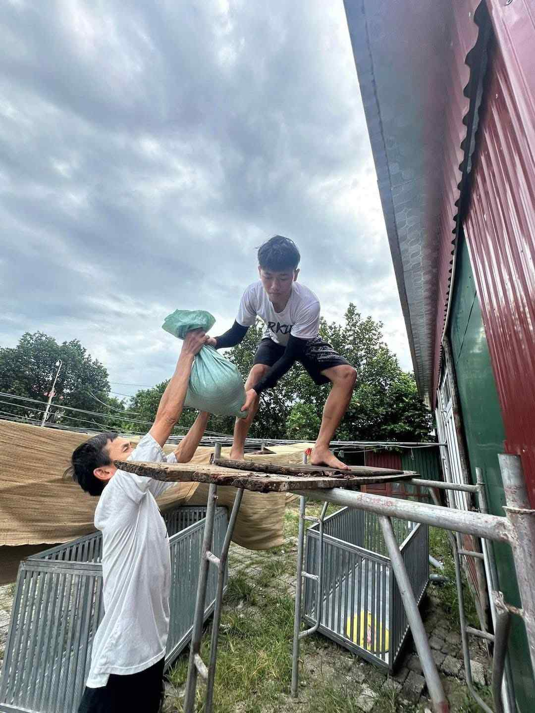 People in Cua Lo ward (Nghe An) urgently reinforce their houses to cope with storm No. 5. Photo: Ngoc Anh