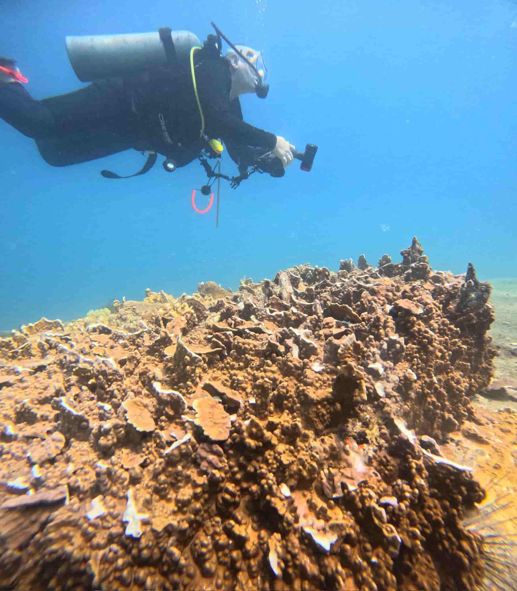 Signs of dead fish and broken coral in Hon Bac on the coast of Khanh Hoa are likely due to people using explosives. Photo: Quang Huy