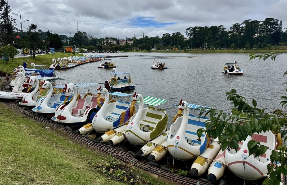 Tourists experience riding ducks around Xuan Huong Lake - Da Lat. Photo: Duy Tuan