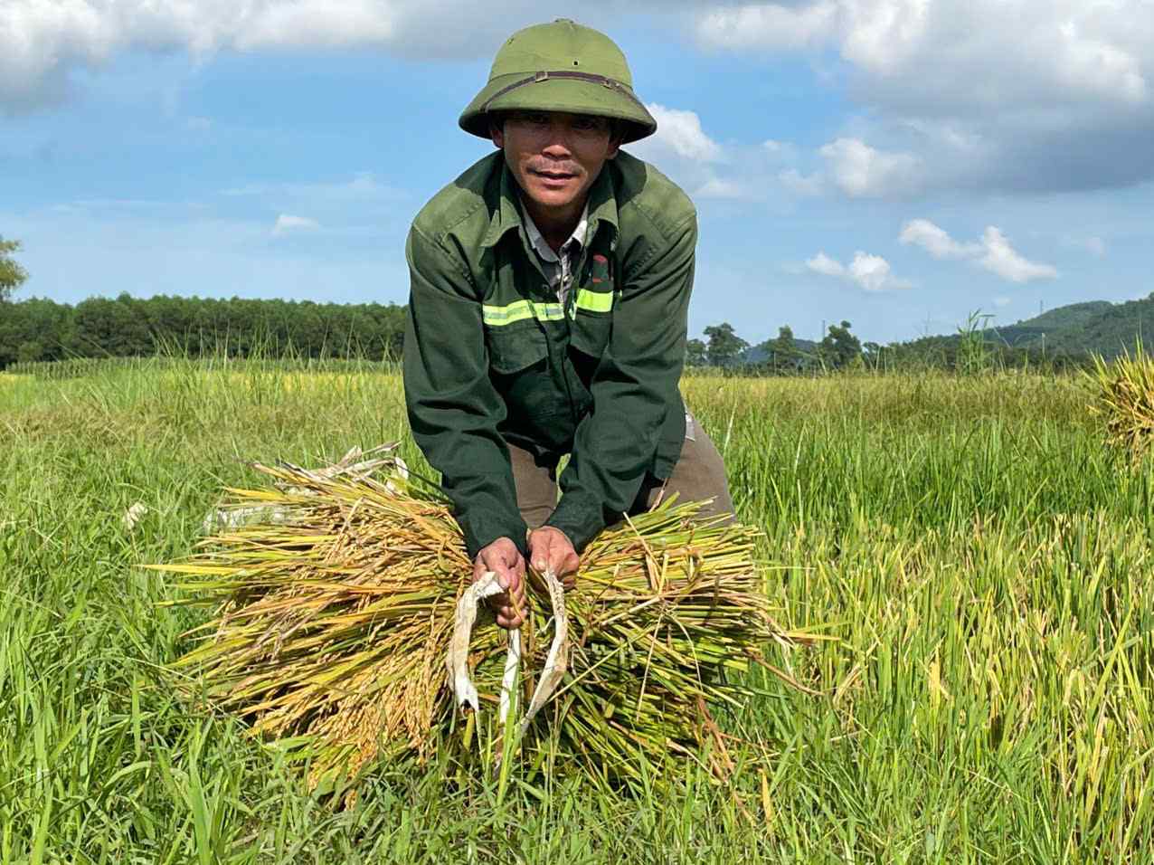 Ong Dang Quang Hoang dang dua lua len bo. Anh: Pham Chung