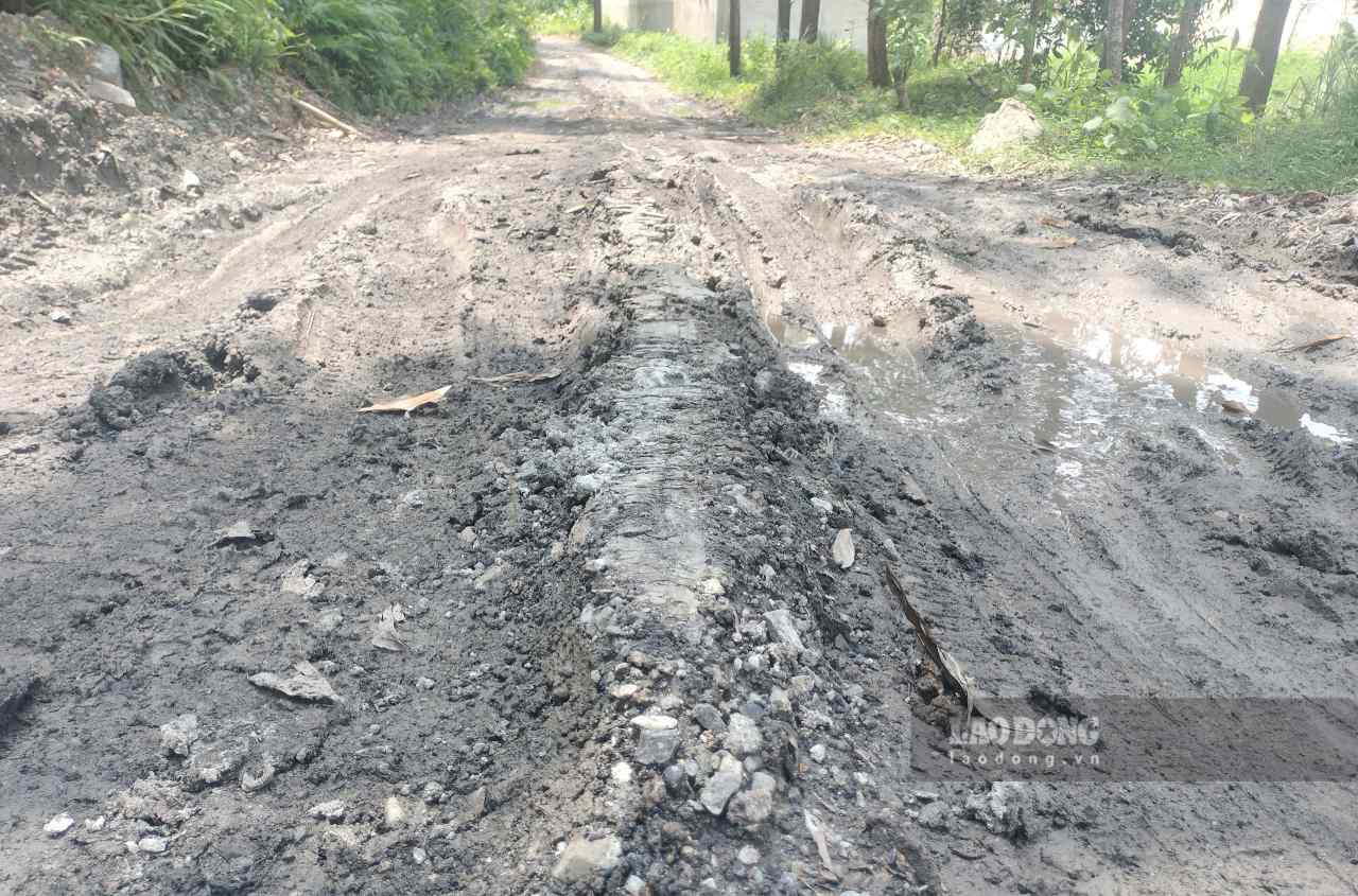 Duong vao khu Trai Bo van nhay nhua, lay loi. Anh: Van Duc