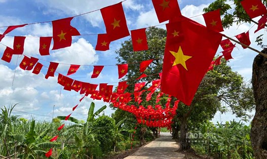 Ngõ xóm với hàng nhãn cổ thụ ở xã Tiên La, tỉnh Hưng Yên ngập tràn sắc đỏ dịp Quốc khánh 2.9. Ảnh: Đình Dũng