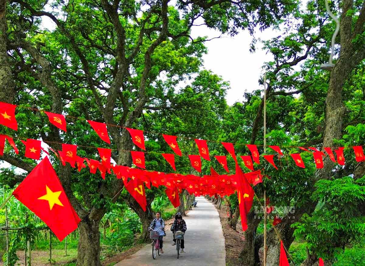사진: Dinh Dung