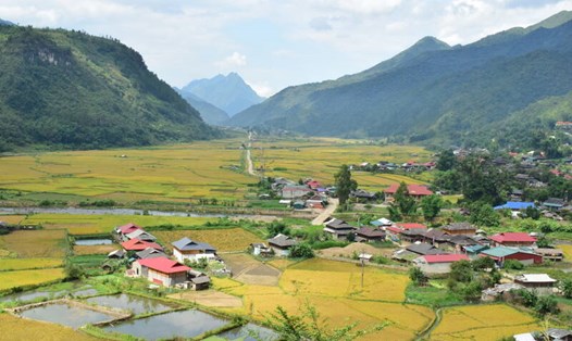 Cánh đồng bản Lướt, xã Ngọc Chiến trước lễ hội mừng cơm mới. Ảnh: Trường Sơn