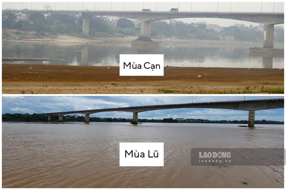 レッドリバーは、洪水シーズンと浅い季節に別のイメージを持っています。 Phu Tho：CongへのNgoc Thap Bridgeエリアで撮影された写真.