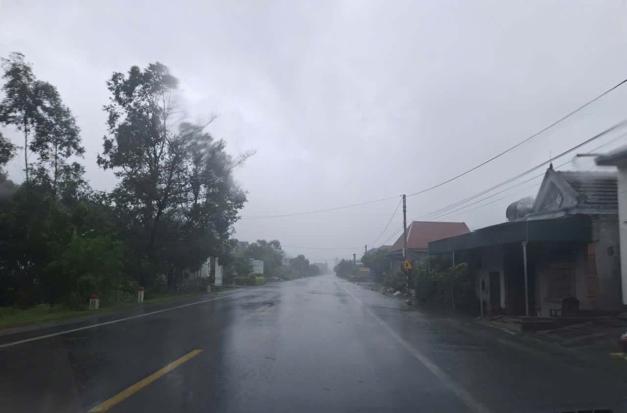 Duong ven bien o xa Loc Ha vang hoe. Anh: Tran Tuan.