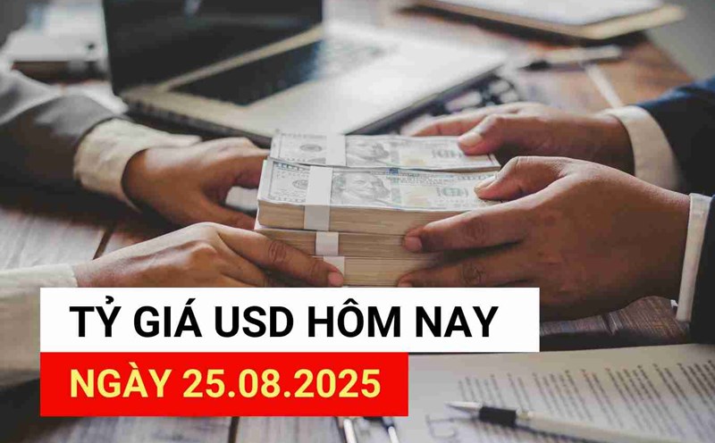 USD exchange rate today 25.8.2025.