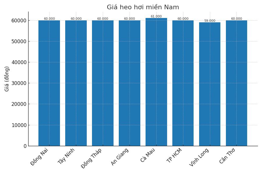 Gia heo hoi ngay 25.8 tai khu vuc mien Nam. Do hoa: Thuy Linh