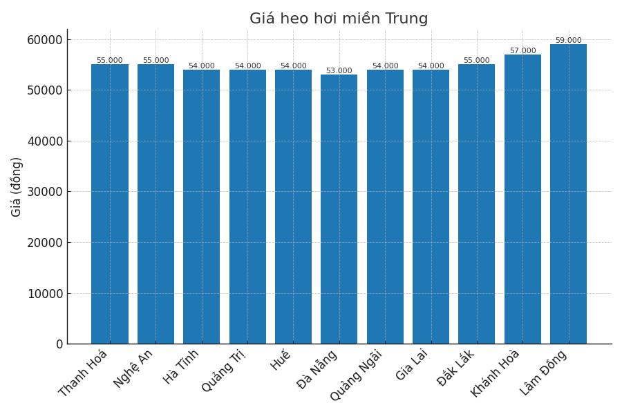 Gia heo hoi ngay 25.8 tai khu vuc mien Trung. Do hoa: Thuy Linh