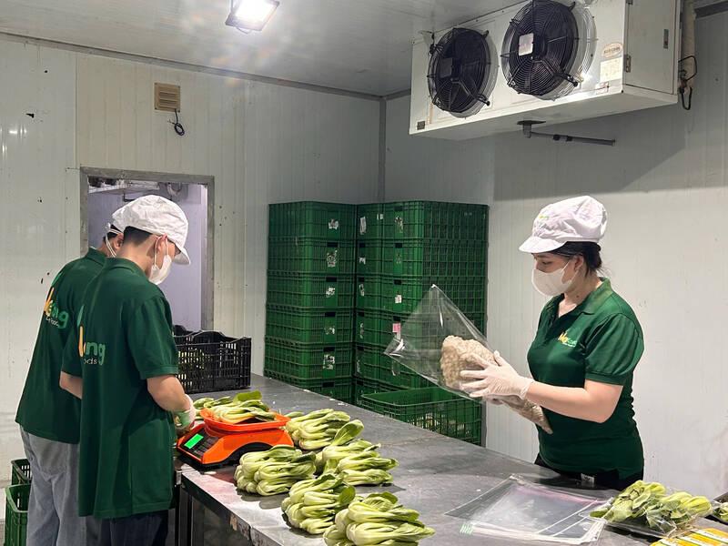 The private economy needs a transparent legal corridor for development. Photo: Ha May