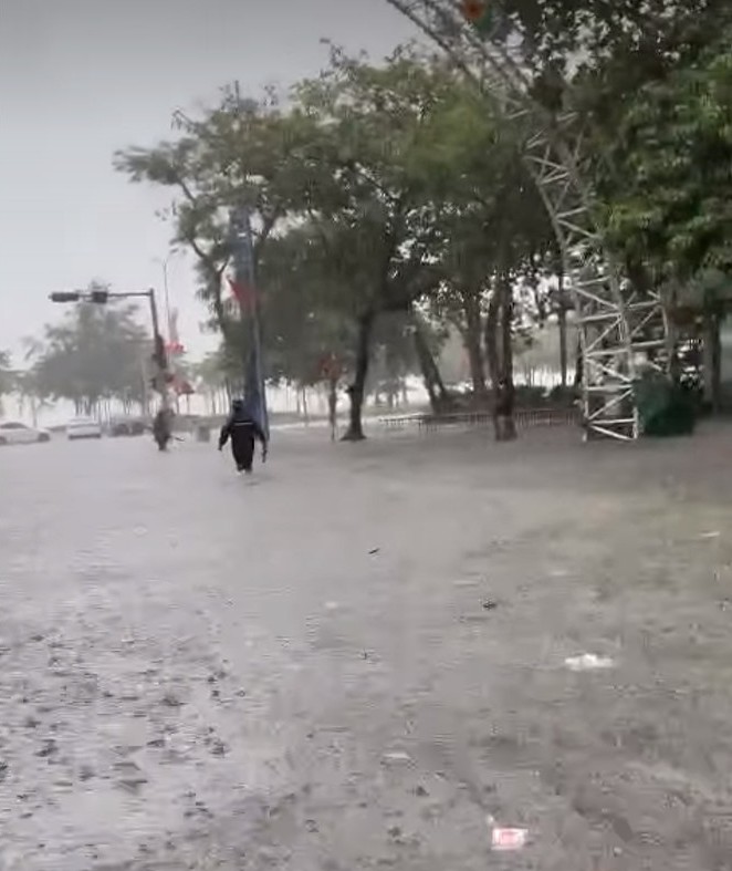 Mua lon gay ngap duong o Cua Lo. Anh: Ngoc Anh