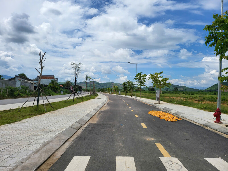Quang Ngai省で競売にかけられた土地は、好ましい場所に位置しています。写真:Vien Nguyen