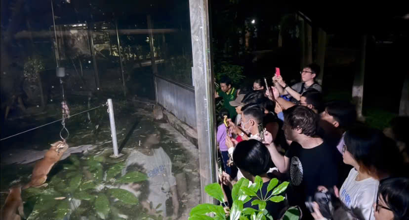 Thao Cam Vien Sai Gon gioi thieu chuong trinh doc dao “Khi man dem buong xuong”, mang den cho du khach co hoi kham pha the gioi dong vat bi an song ve dem.