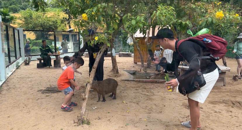 Saigon Zoo and Botanical Gardens offers free admission from 5pm to 8pm from August 28 to September 2. Photo: Thai Bao.
