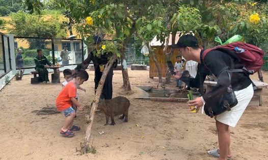 Thảo Cầm Viên Sài Gòn miễn phí vé vào cổng từ 17h đến 20h từ ngày 28.8 - 2.9. Ảnh: Thái Bảo.