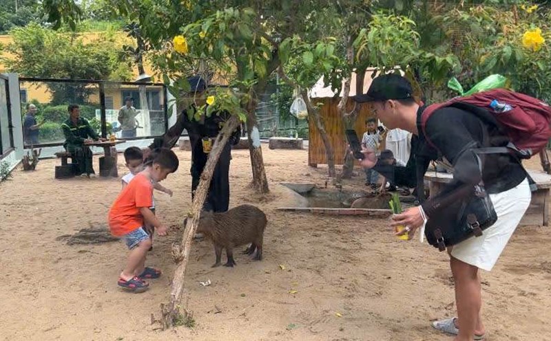 Saigon Zoo and Botanical Gardens offers free admission from 5pm to 8pm from August 28 to September 2. Photo: Thai Bao.