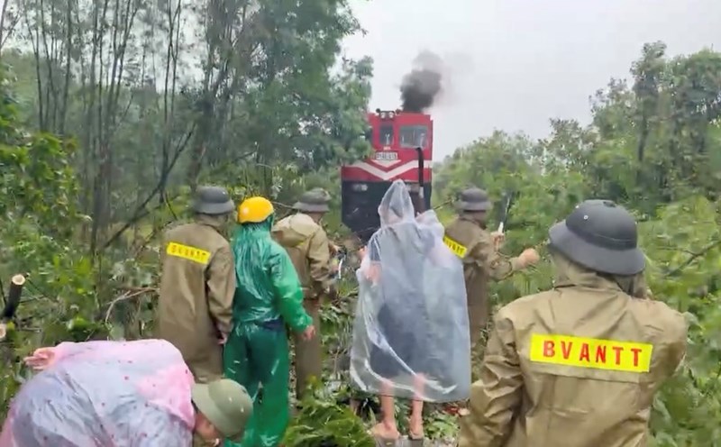 A acacia tree was knocked down by the wind, blocking the railway in Ha Tinh