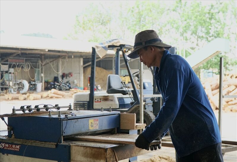 Di Linh 임업 유한 책임 회사의 노동자인 Nguyen Chi Son 씨는 버려진 엽제 톱날을 재활용하여 쟁반 톱에 다시 사용합니다. 사진: Do Lam