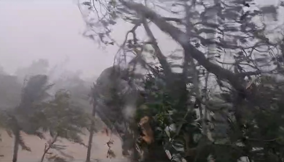 ストーム5番はハティンに着陸し、激しい雨を引き起こしています。写真：Tran Tuan