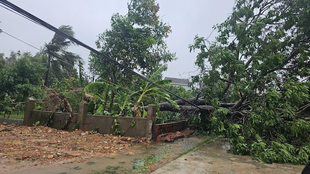 当初の統計によると、ハティン省で発生した台風5号による被害は非常に大きいです。写真:Tran Tuan