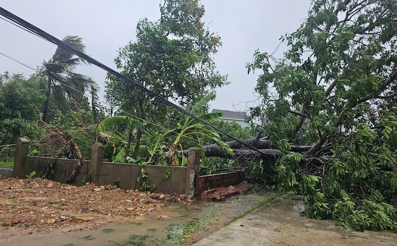 Storm No. 5 caused a series of power poles in Ha Tinh to fall, hundreds of thousands of customers lost power. Photo: Tran Tuan