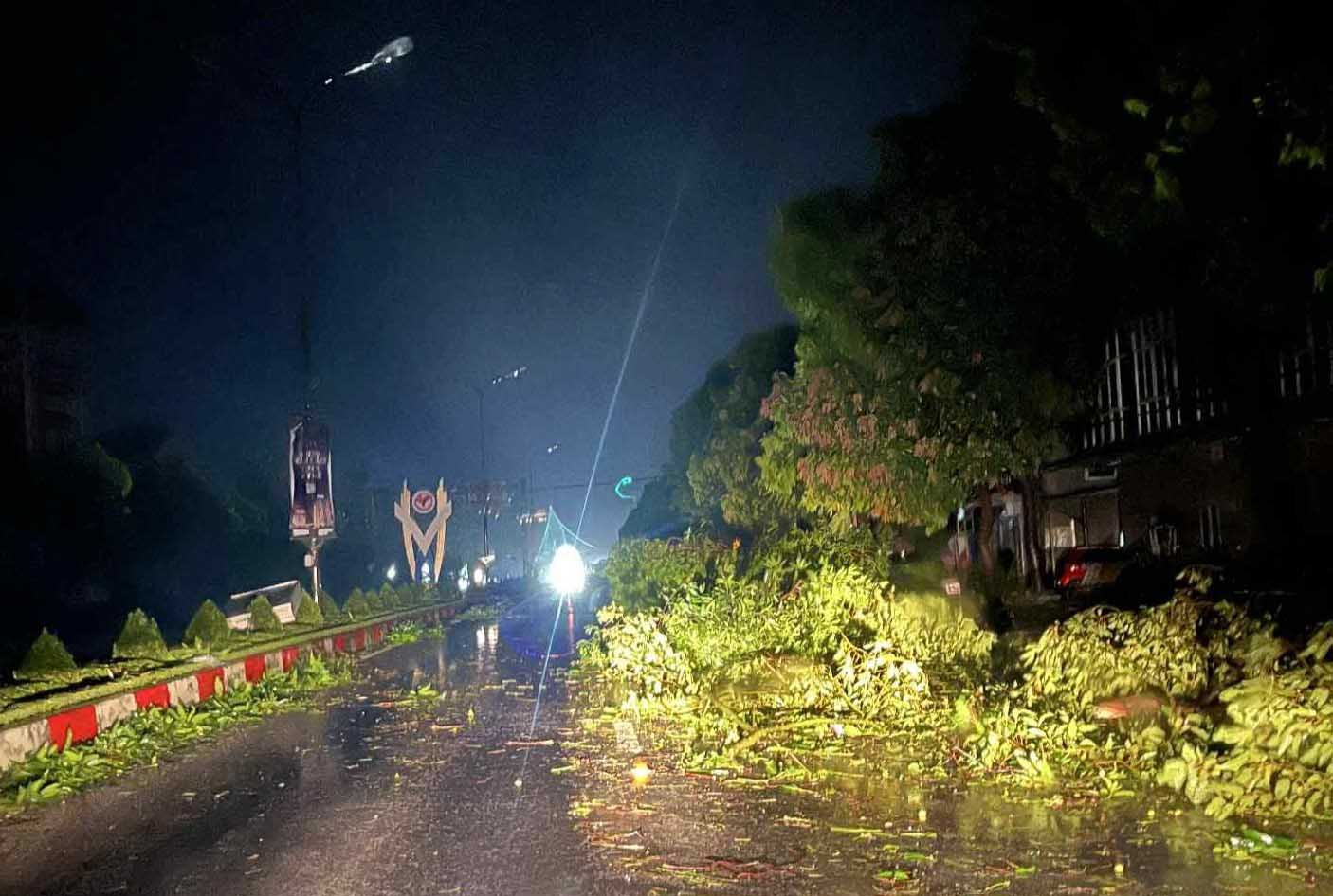 Nghe An 省 Vinh 市(旧市)の路上に散らばる倒木。写真:Ngoc Anh