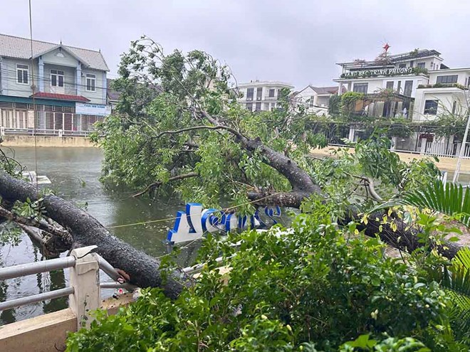 Nghe An ward streets are littered with fallen trees due to heavy rain and strong winds after storm No. 5. Photo: Ngoc Anh