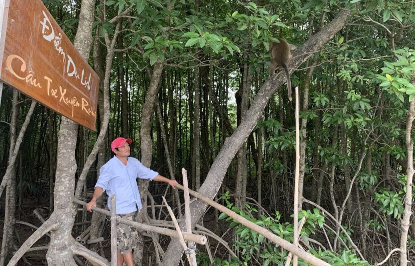 Les gens developpent l'economie sous la canopee forestiere a Cu Lao Dung (peut la ville). Photo: Phuong Anh